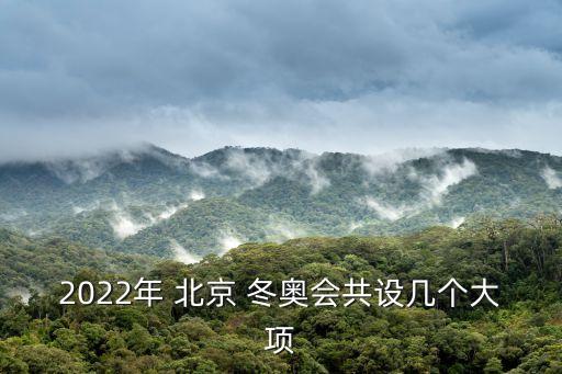 2022年 北京 冬奧會共設幾個大項