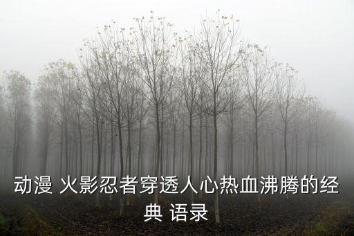 動漫 火影忍者穿透人心熱血沸騰的經典 語錄