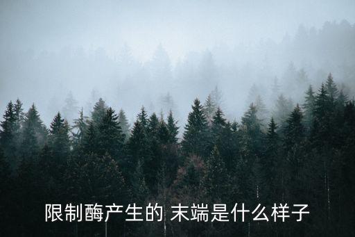 粘性末端