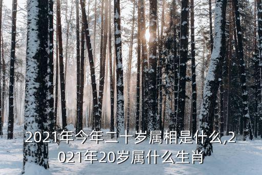 2021年今年二十歲屬相是什么,2021年20歲屬什么生肖