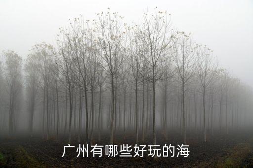 廣州的海邊有哪些，廣州有哪些海灘或水域