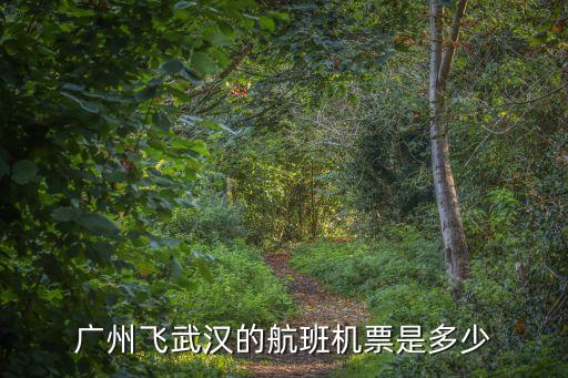 廣州至武漢的航班，從廣州到武漢的飛機票要多少