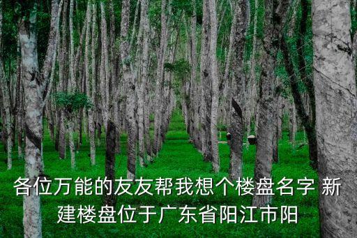 各位萬能的友友幫我想個樓盤名字 新建樓盤位于廣東省陽江市陽