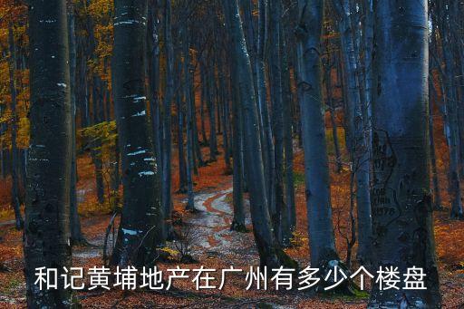 廣州新黃埔區(qū)樓盤，和記黃埔地產(chǎn)在廣州有多少個樓盤