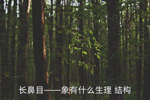 長鼻目——象有什么生理 結(jié)構(gòu)