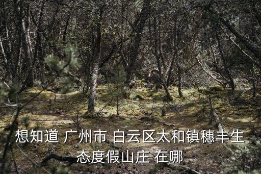 想知道 廣州市 白云區太和鎮穗豐生態度假山莊 在哪