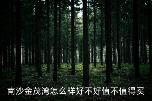 南沙金茂灣怎么樣好不好值不值得買