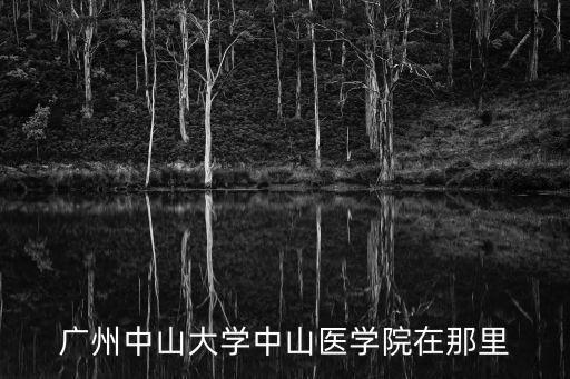 廣州中山大學中山醫學院在那里