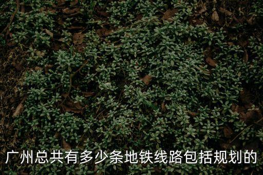 廣州新地鐵規劃圖，最新廣州地鐵線路圖最好有圖示