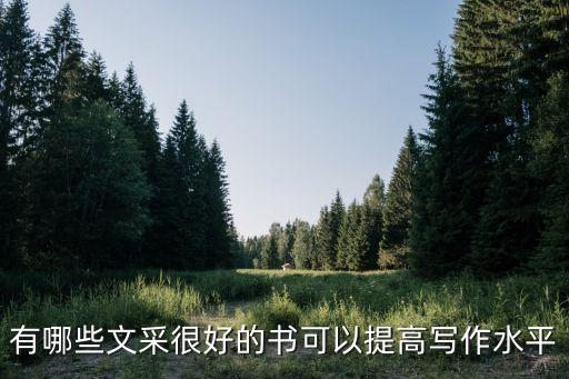 有哪些文采很好的書可以提高寫作水平
