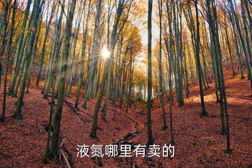 液氮哪里有賣的