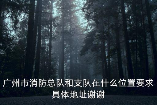 廣州市消防總隊和支隊在什么位置要求具體地址謝謝