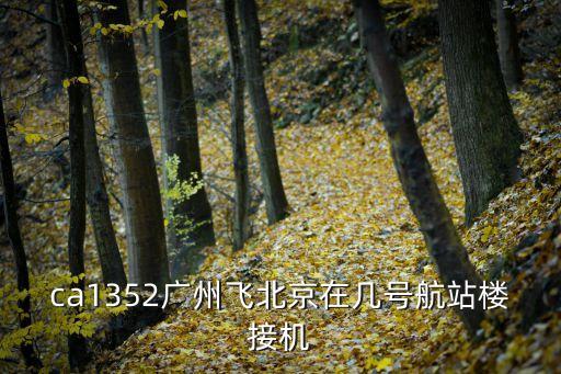 ca1351 北京 廣州，ca1352廣州飛北京在幾號(hào)航站樓接機(jī)