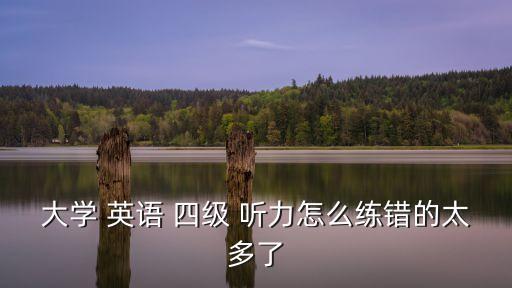 大學(xué) 英語 四級 聽力怎么練錯的太多了