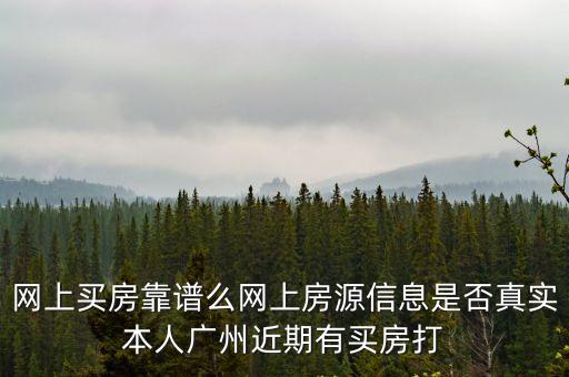 網上買房靠譜么網上房源信息是否真實本人廣州近期有買房打