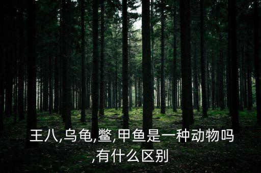  王八,烏龜,鱉,甲魚是一種動物嗎,有什么區別