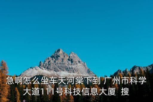 急啊怎么坐車天河棠下到 廣州市科學大道111號科技信息大廈  搜