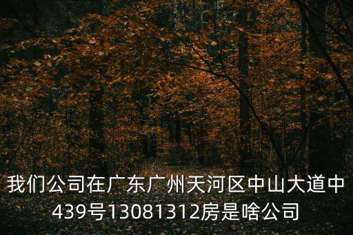 我們公司在廣東廣州天河區中山大道中439號13081312房是啥公司