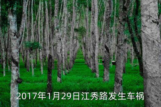 2017年1月29日江秀路發(fā)生車禍