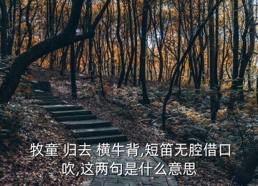  牧童 歸去 橫牛背,短笛無腔借口吹,這兩句是什么意思