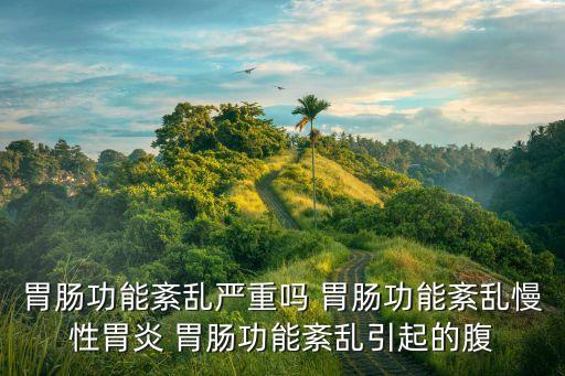 胃腸功能紊亂嚴重嗎 胃腸功能紊亂慢性胃炎 胃腸功能紊亂引起的腹