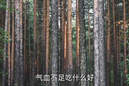 氣血不足吃什么,怎么補氣血最快最有效?
