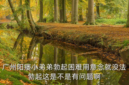 廣州陽(yáng)痿小弟弟勃起困難用意念就沒(méi)法勃起這是不是有問(wèn)題啊
