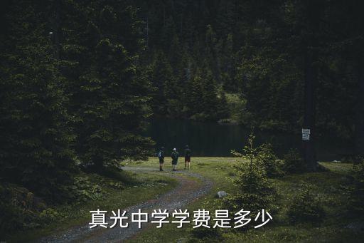 真光中學學費是多少