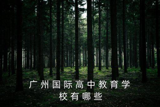 廣 州 國 際 高 中 教 育 學 校 有 哪 些