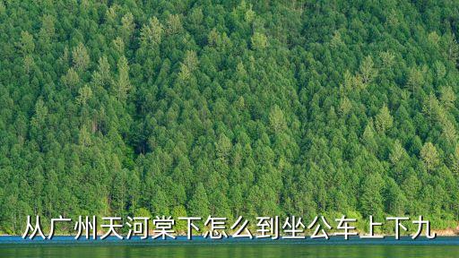 廣州棠下公交車，廣州火車站坐公交怎么往棠下村