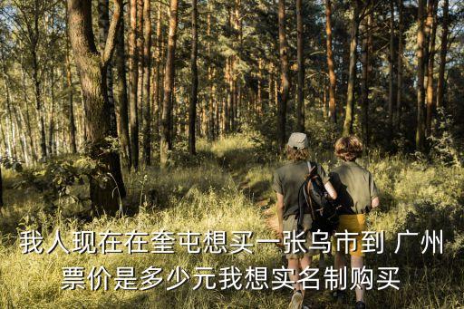 我人現在在奎屯想買一張烏市到 廣州票價是多少元我想實名制購買