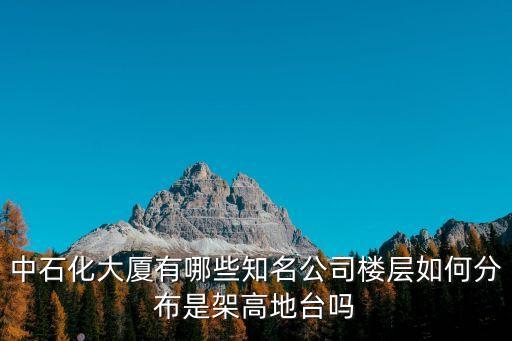 中石化大廈有哪些知名公司樓層如何分布是架高地臺嗎