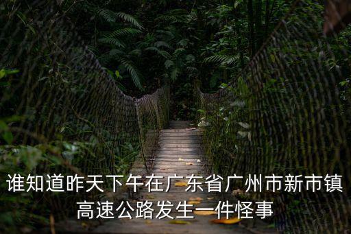誰知道昨天下午在廣東省廣州市新市鎮高速公路發生一件怪事