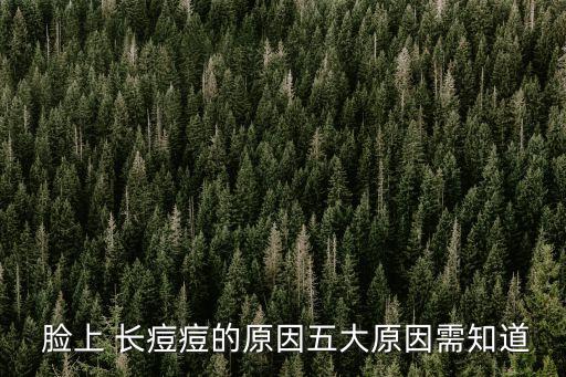  臉上 長(zhǎng)痘痘的原因五大原因需知道