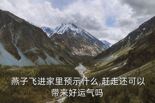 燕子寓意,飛來一只燕子寓意