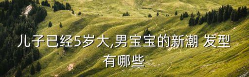 男童發型圖片,12歲一到10歲男童可以剪什么發型?
