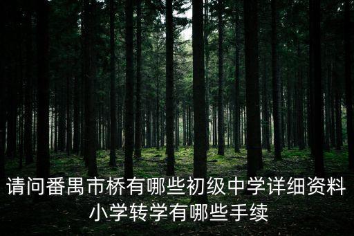 請問番禺市橋有哪些初級中學詳細資料 小學轉學有哪些手續