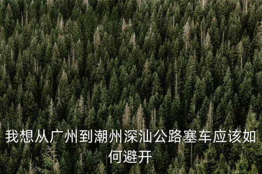 端午廣州到潮汕堵車，從廣州開車去汕頭會塞車嗎