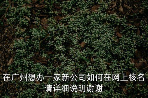 在廣州想辦一家新公司如何在網(wǎng)上核名請詳細說明謝謝