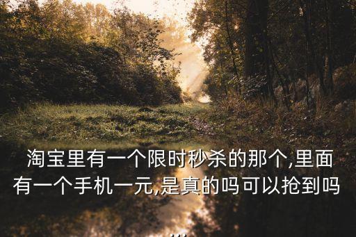  淘寶里有一個限時秒殺的那個,里面有一個手機一元,是真的嗎可以搶到嗎...