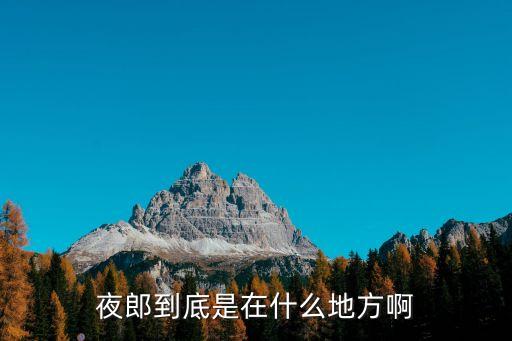 金氏家族,韓國金氏家族什么來歷?