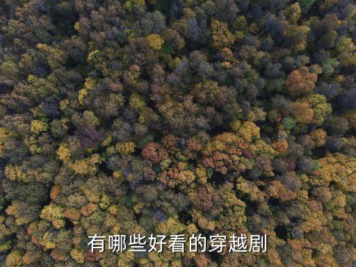 禁王的至尊寵妃,龍王的至尊寵妃
