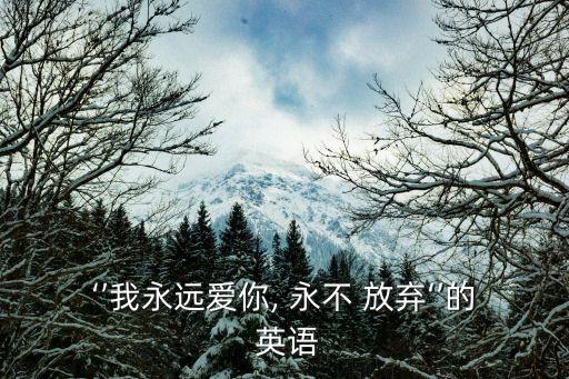 ‘’我永遠愛你, 永不 放棄‘’的 英語
