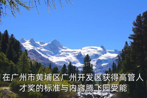 廣州市人才獎勵辦法，關于廣州計生獎勵方法