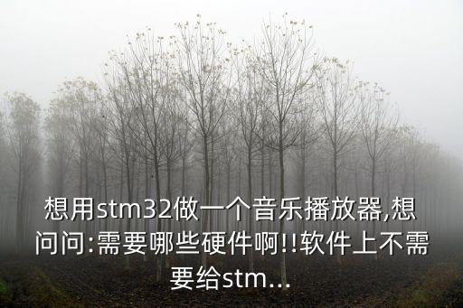 想用stm32做一個音樂播放器,想問問:需要哪些硬件啊!!軟件上不需要給stm...