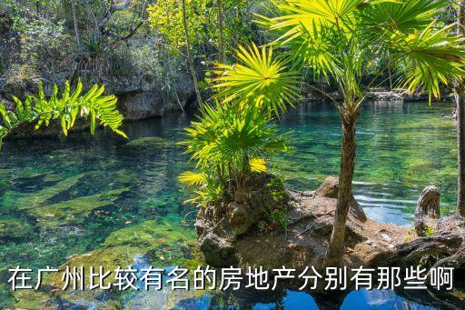 在廣州比較有名的房地產(chǎn)分別有那些啊