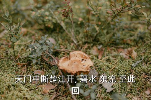 天門中斷楚江開, 碧水 東流 至此回