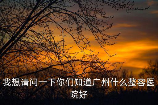 我想請問一下你們知道廣州什么整容醫院好