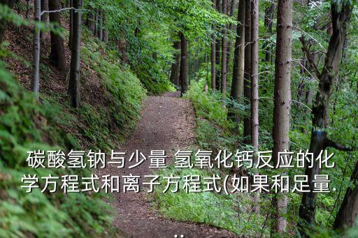  碳酸氫鈉與少量 氫氧化鈣反應的化學方程式和離子方程式(如果和足量...