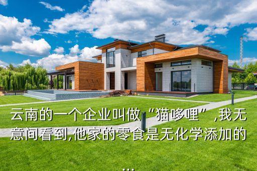 貓哆哩酸角糕,貓哆哩酸角糕上市年代2003年